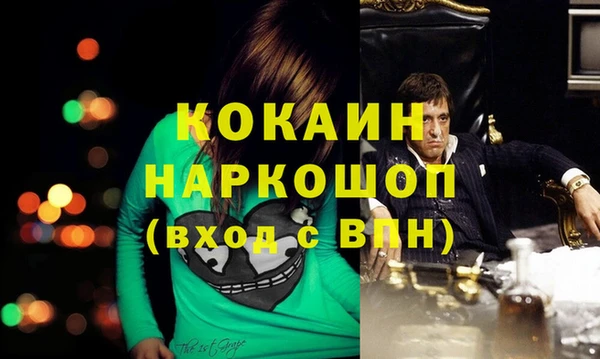 СК Алексин