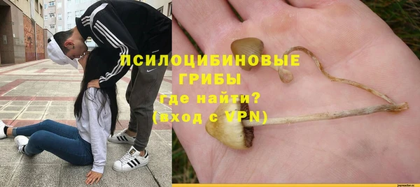 дурь Алзамай
